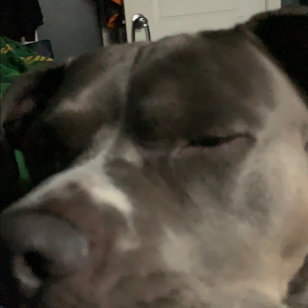 Meet your Posher, Marcus